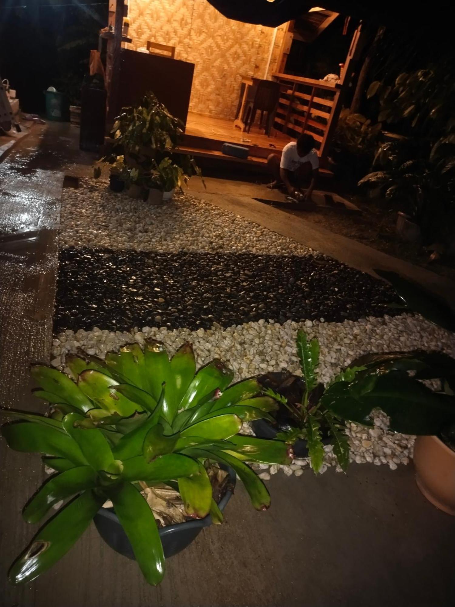 Ziah'S Guest House 산 비센테 외부 사진
